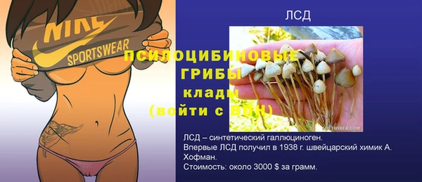 спиды Алзамай