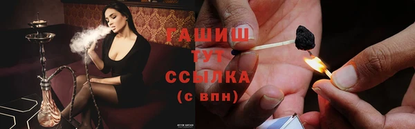 спиды Алзамай