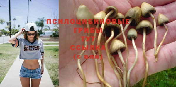 крисы Алексеевка