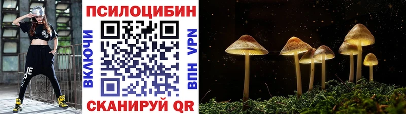 KRAKEN вход  где купить наркотик  Кола  Псилоцибиновые грибы MAGIC MUSHROOMS 